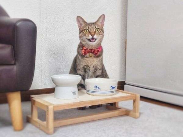 寝る前にクスッとする画像part2