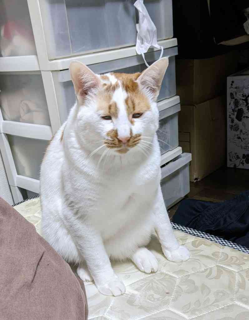 寝る前にクスッとする画像part2