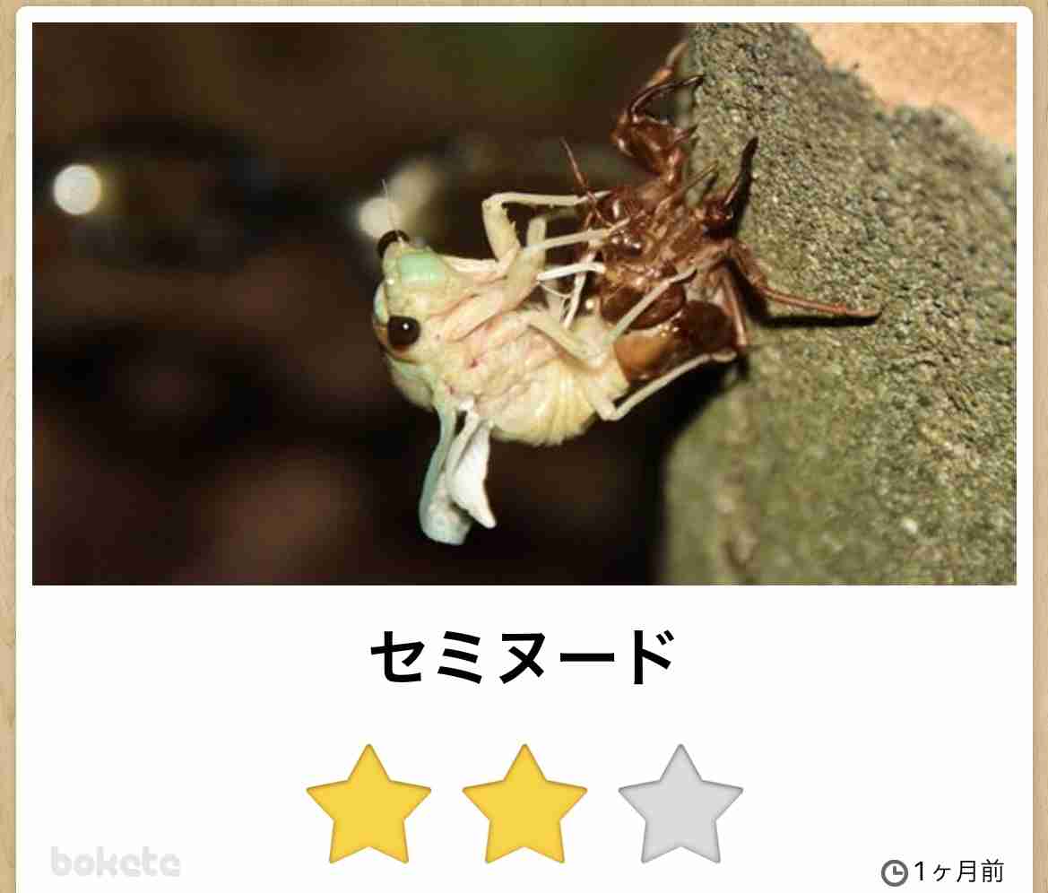 深夜だしみんな下らないこと言い合おうぜPart3 