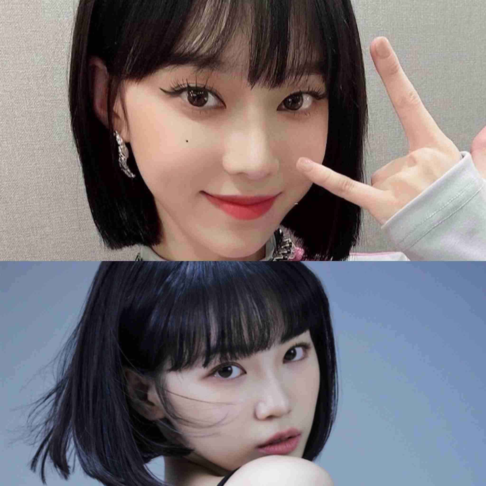 韓国でアイドル活動の宮脇咲良、印象激変の最新ショットが大反響