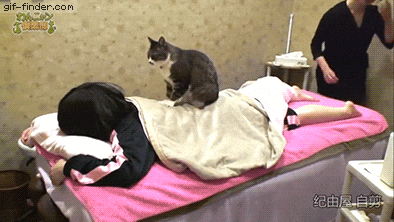【ネタ可】猫ふみふみされたい!【方法】