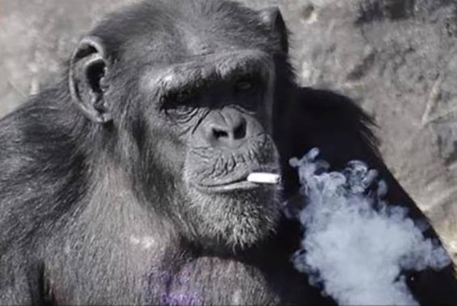 緊張を和らげる方法