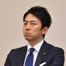 市販弁当や冷食が多い妊婦、死産と関連 名古屋市立大研究チーム