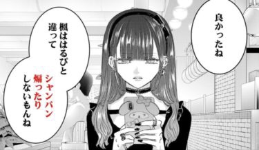 【漫画・アニメ】異性見る目ないなぁと思うキャラクター