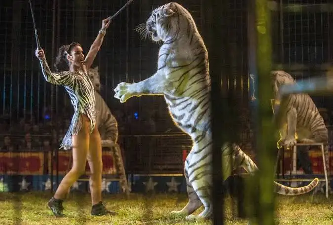 ｢少年院｣で数学を教えた先生が見た学校との違い　｢背中を見せてはいけない｣｢ホチキス留めNG｣…