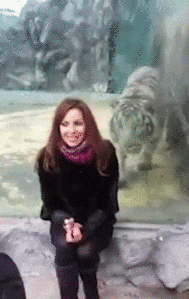 ｢少年院｣で数学を教えた先生が見た学校との違い　｢背中を見せてはいけない｣｢ホチキス留めNG｣…