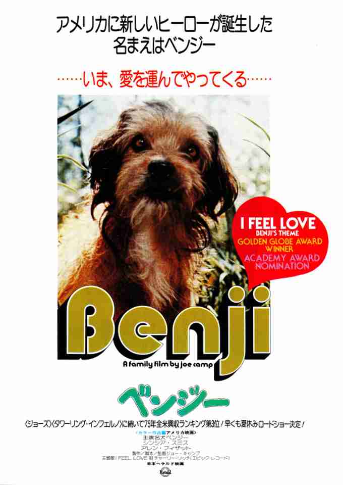 動物の画像だけで1000コメを目指すトピ Part2