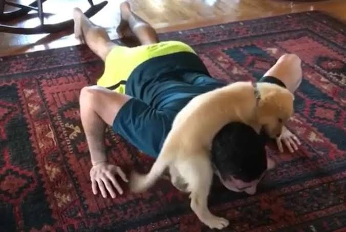 動物の画像だけで1000コメを目指すトピ Part2