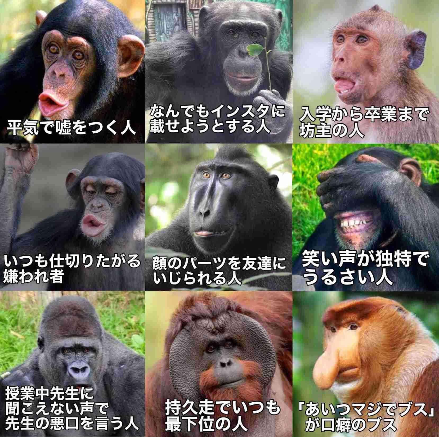 動物の画像だけで1000コメを目指すトピ Part2