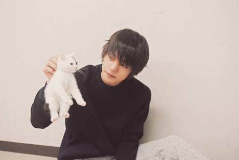 動物の画像だけで1000コメを目指すトピ Part2