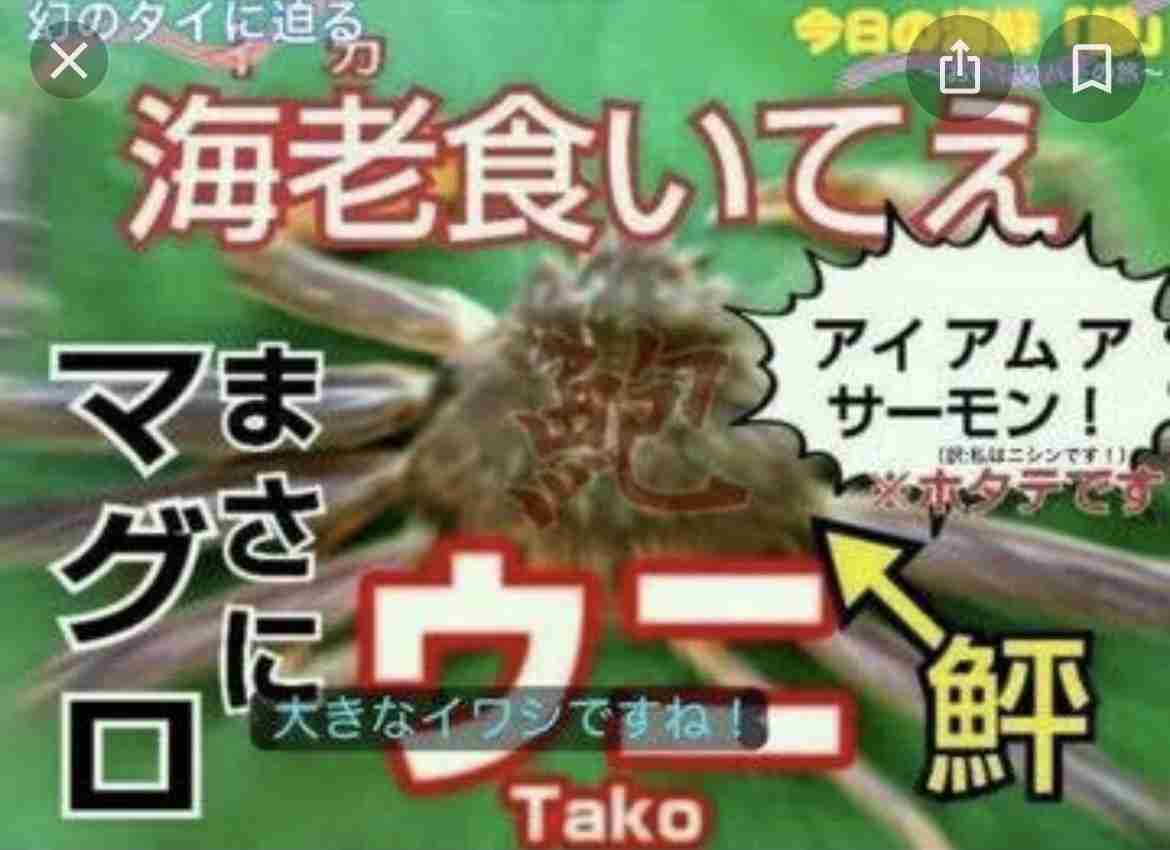 動物の画像だけで1000コメを目指すトピ Part2