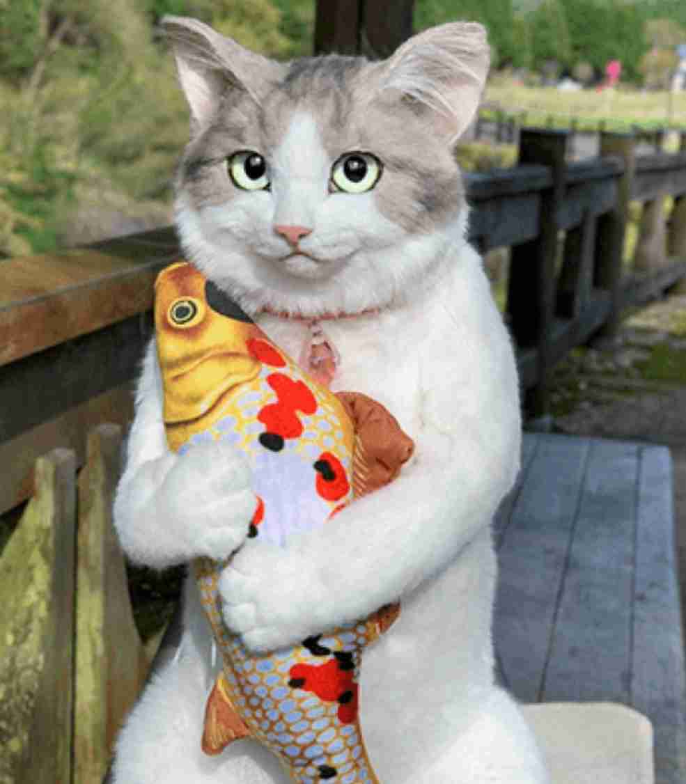 動物の画像だけで1000コメを目指すトピ Part2