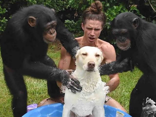 動物の画像だけで1000コメを目指すトピ Part2