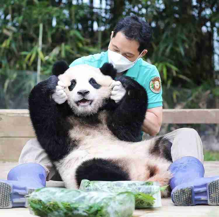 動物の画像だけで1000コメを目指すトピ Part2