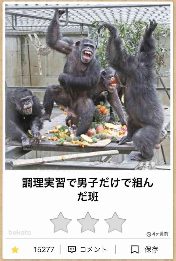 動物の画像だけで1000コメを目指すトピ Part2