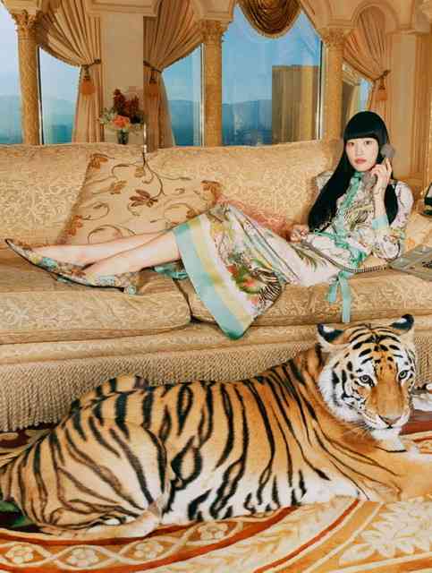 動物の画像だけで1000コメを目指すトピ Part2