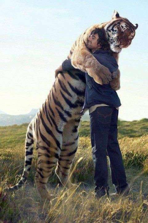ネコ科の動物好きな人