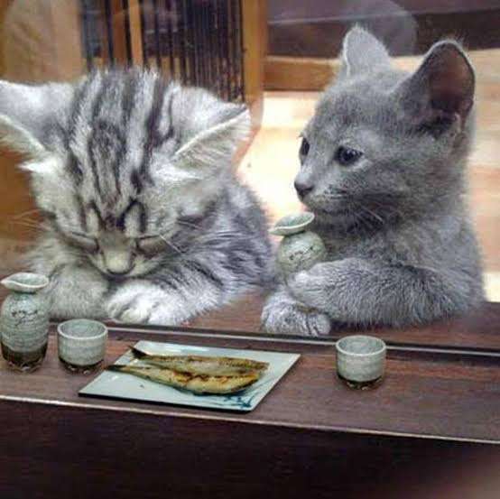 ネコ科の動物好きな人
