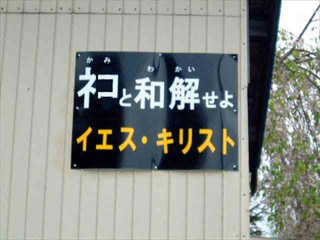 ネコ科の動物好きな人