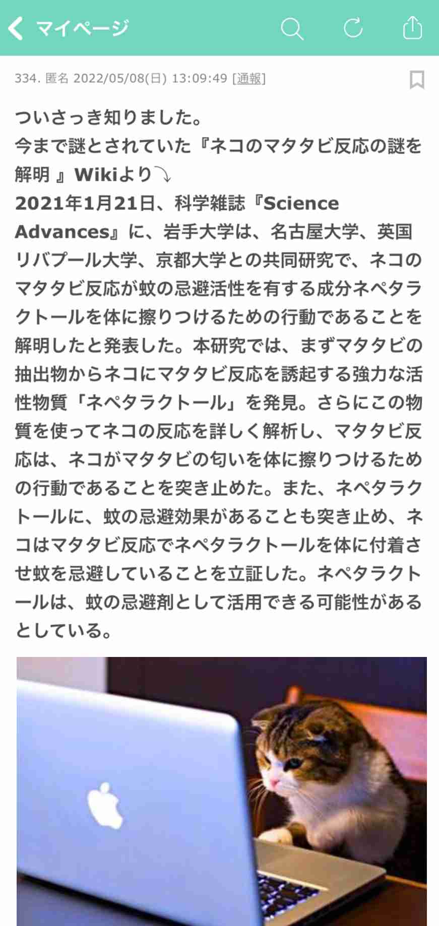 ネコ科の動物好きな人