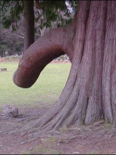 【アダルト注意】何となくエロいものをあげるトピPart2