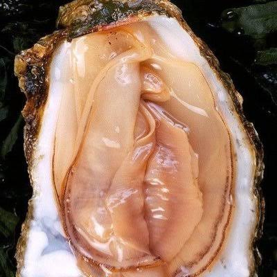  【アダルト注意】何となくエロいものをあげるトピPart2