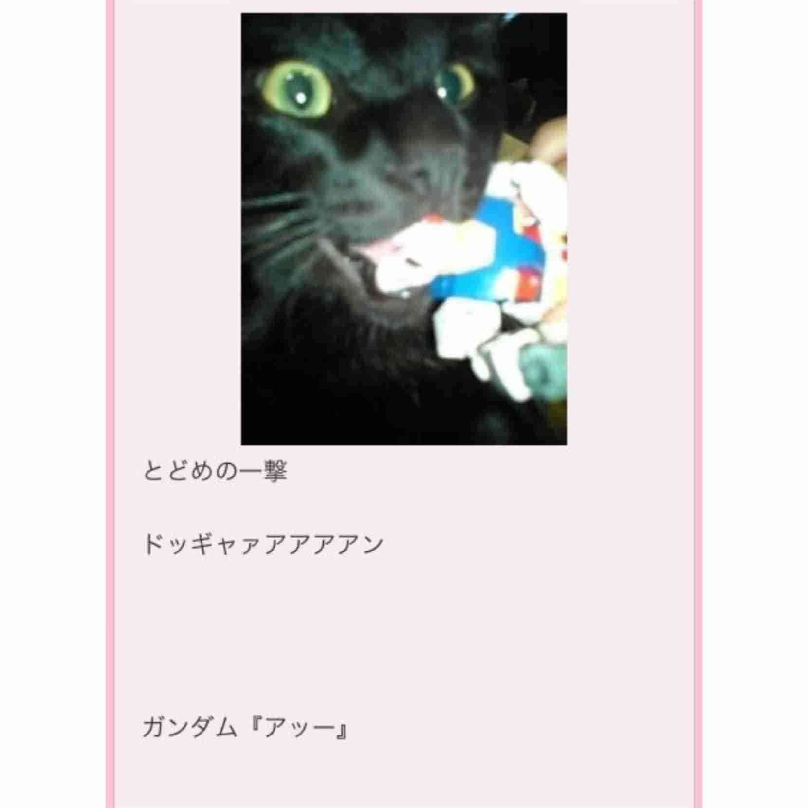 “愛猫家”中川翔子、猫の高血圧症に警鐘「命を大事に生きていかないといけない」「ねこもわたしも『いのちだいじに』」
