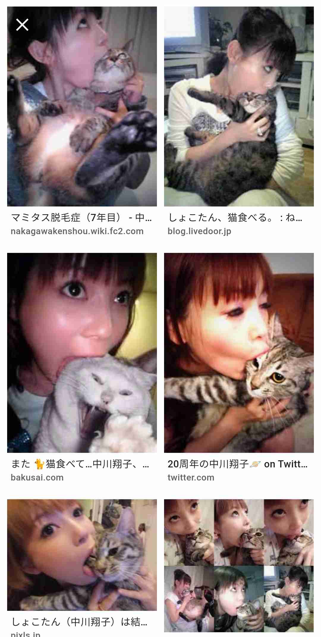 “愛猫家”中川翔子、猫の高血圧症に警鐘「命を大事に生きていかないといけない」「ねこもわたしも『いのちだいじに』」