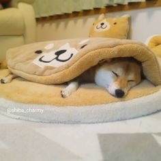 寝る体勢ってどんな感じですか？