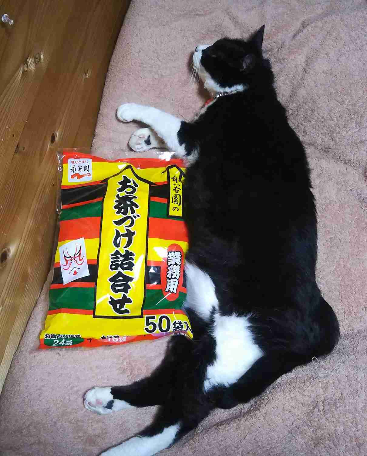 がるちゃん猫カフェ75号店開店しました♪(初めての方も大歓迎♪)