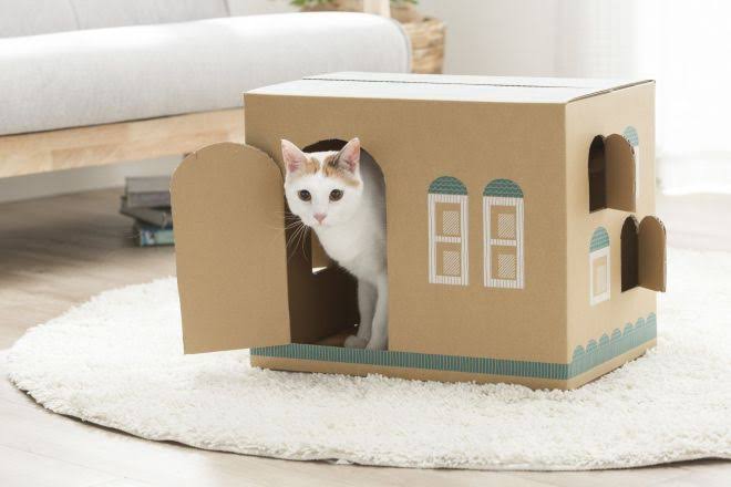 がるちゃん猫カフェ75号店開店しました♪(初めての方も大歓迎♪)