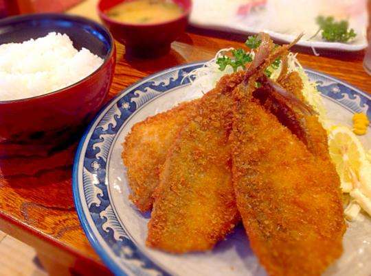 がるちゃん猫カフェ75号店開店しました♪(初めての方も大歓迎♪)