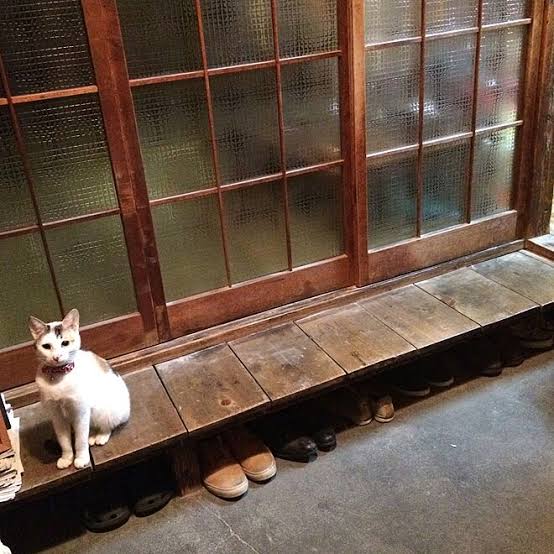 がるちゃん猫カフェ75号店開店しました♪(初めての方も大歓迎♪)
