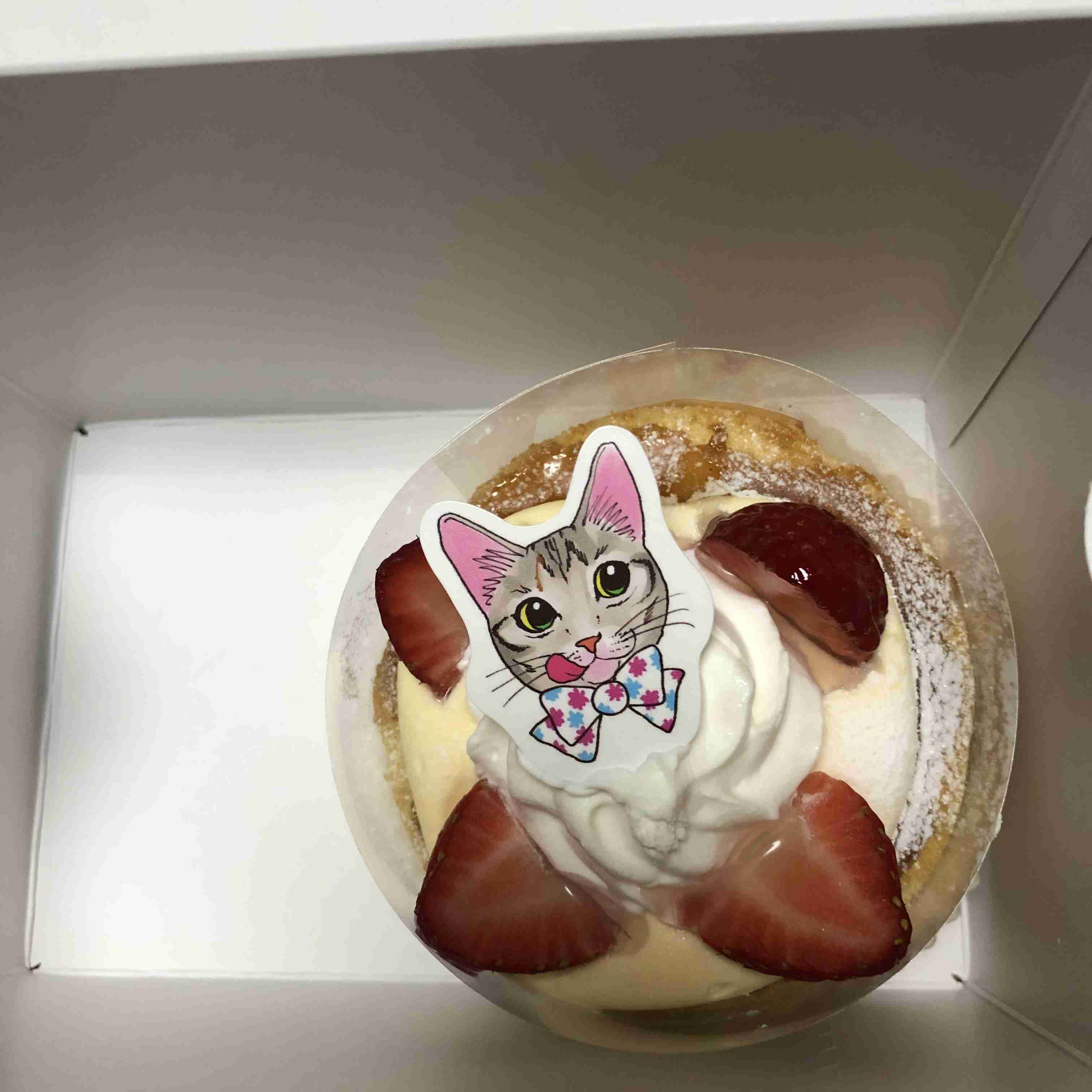 がるちゃん猫カフェ75号店開店しました♪(初めての方も大歓迎♪)