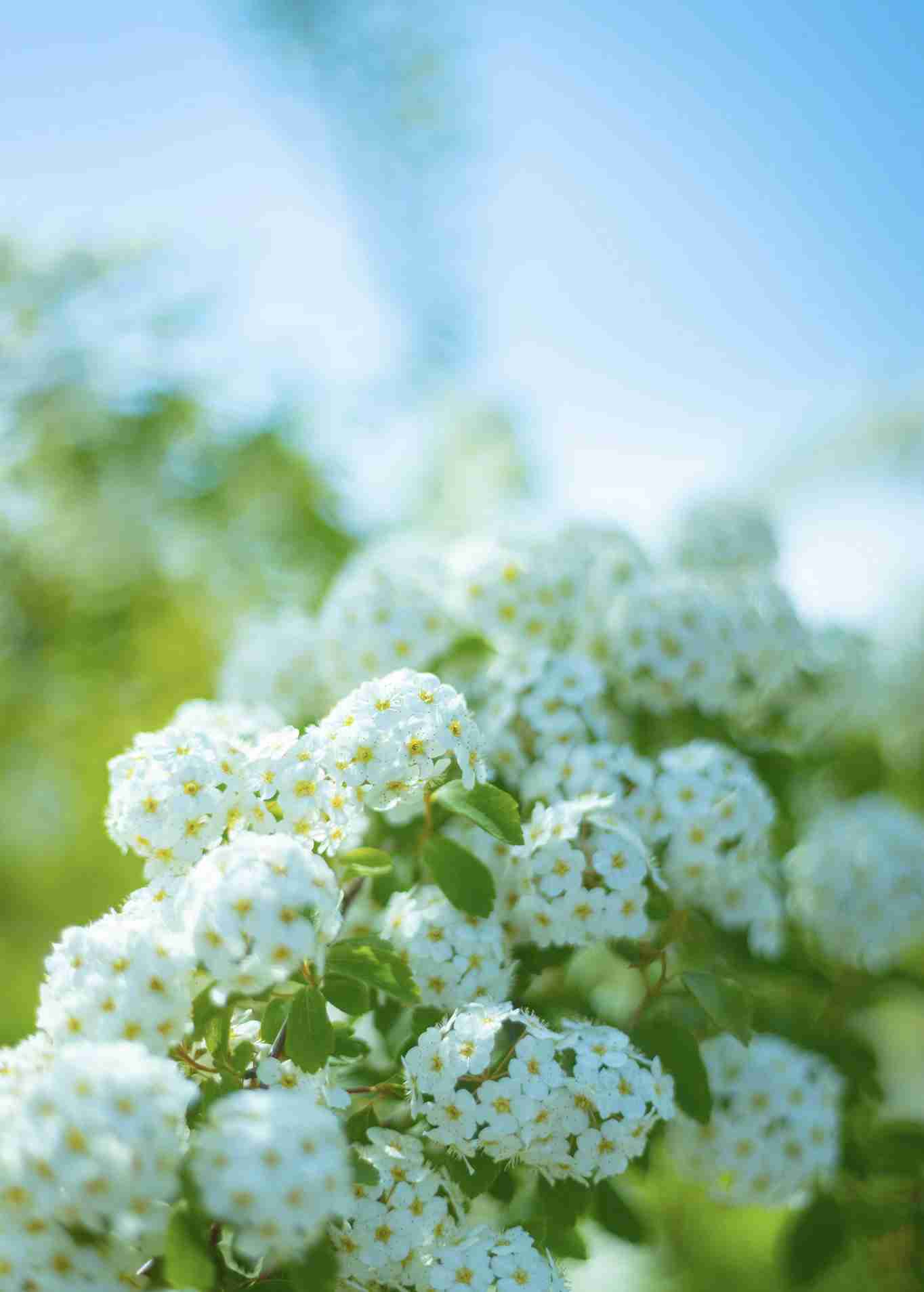 年をとって興味が出てきたもの