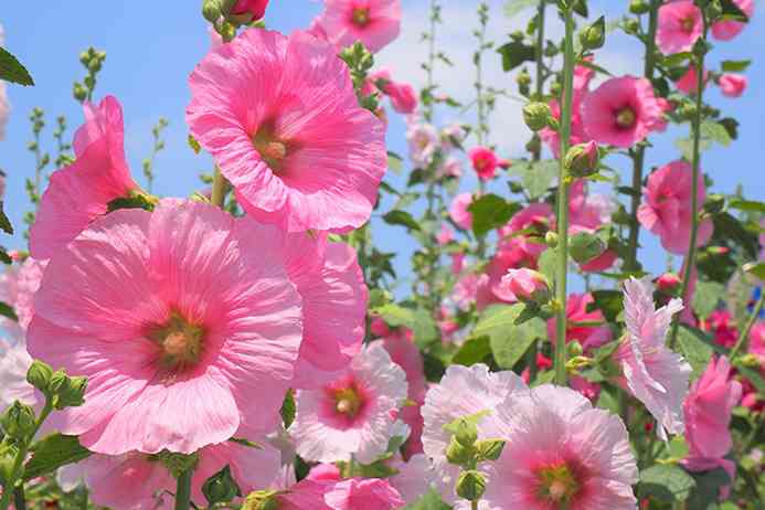 年をとって興味が出てきたもの