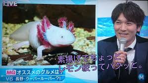 今日から推しだ！推しを見つけた瞬間。