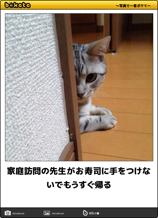 boketeで1000コメ以上を目指そう!!Part4