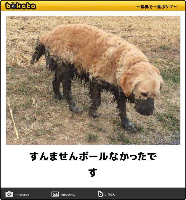 boketeで1000コメ以上を目指そう!!Part4