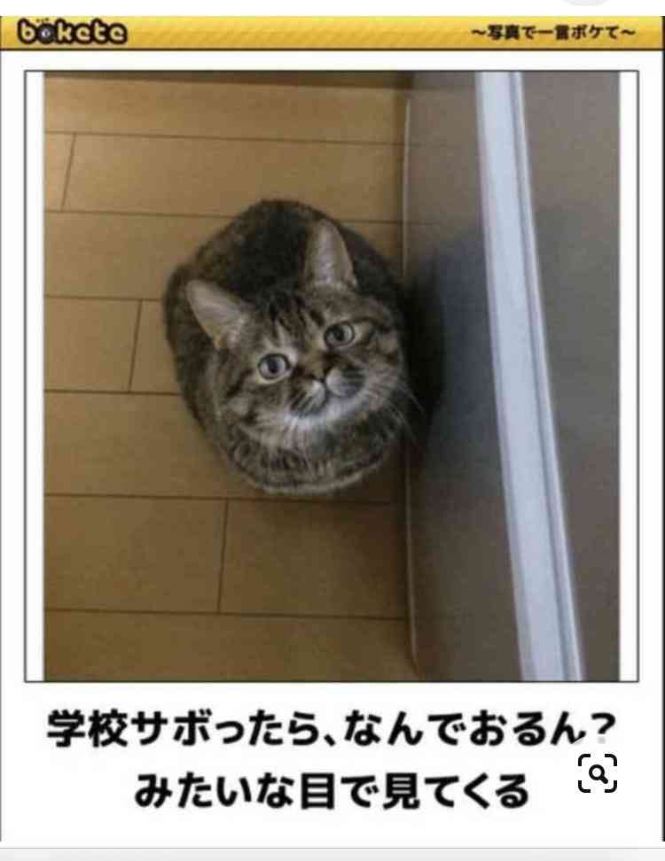 boketeで1000コメ以上を目指そう!!Part4