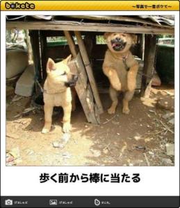 boketeで1000コメ以上を目指そう!!Part4