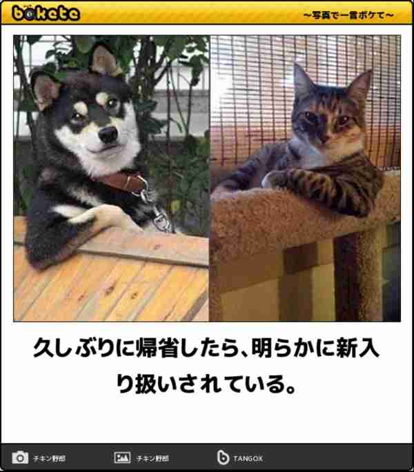 boketeで1000コメ以上を目指そう!!Part4