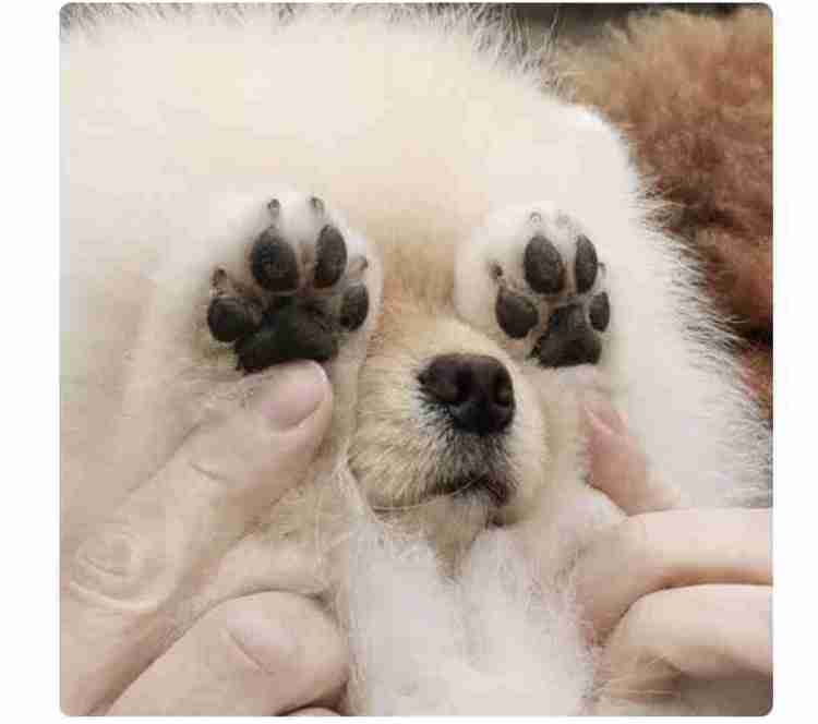 画像をアップすると似たような画像が送られてくるトピ その2