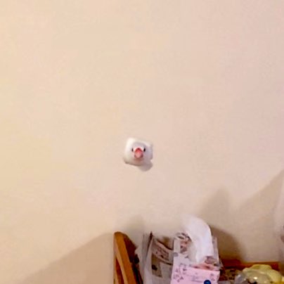 画像をアップすると似たような画像が送られてくるトピ その2