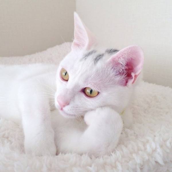 画像をアップすると似たような画像が送られてくるトピ その2