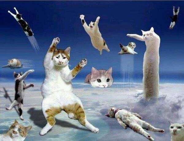 画像をアップすると似たような画像が送られてくるトピ その2