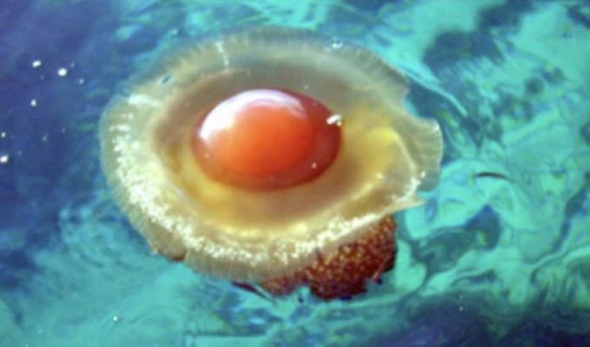 画像をアップすると似たような画像が送られてくるトピ その2