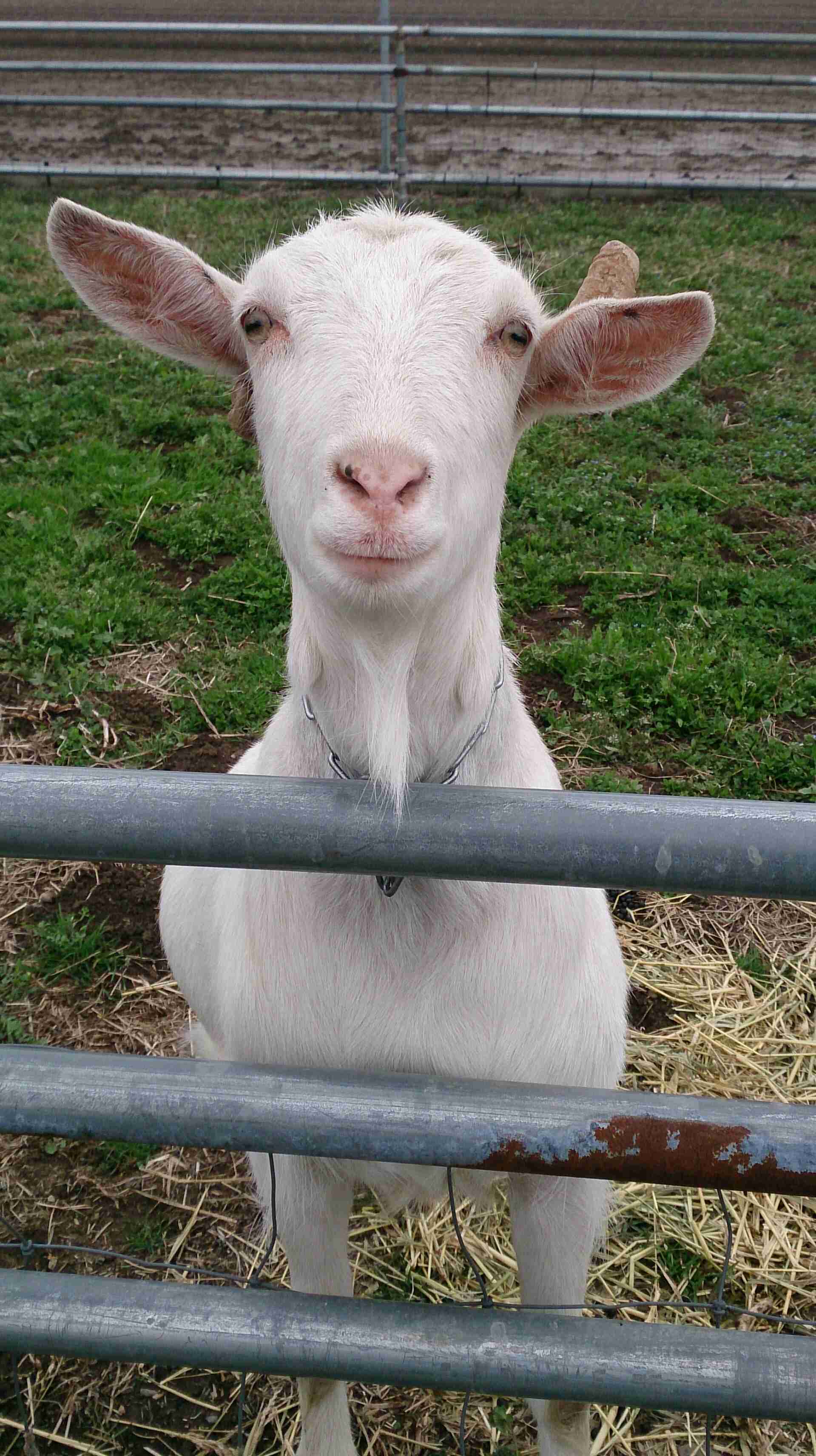 画像をアップすると似たような画像が送られてくるトピ その2