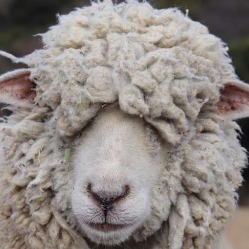 画像をアップすると似たような画像が送られてくるトピ その2