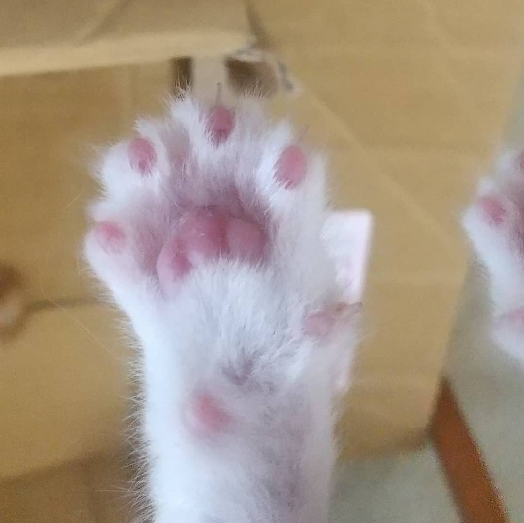 画像をアップすると似たような画像が送られてくるトピ その2